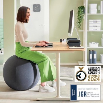 BALON ACTIVE 65CM ASIENTO LEITZ GRIS