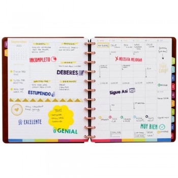 SET 8 SELLOS MOTIVACIONALES PROFESORES OFFICE BOX